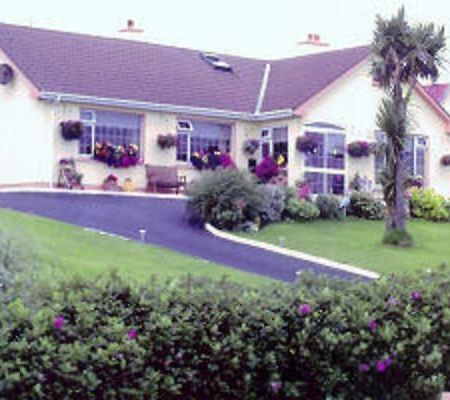 The Yellow Rose B&B Belderg Bagian luar foto