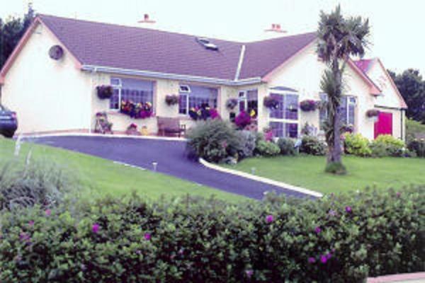 The Yellow Rose B&B Belderg Bagian luar foto