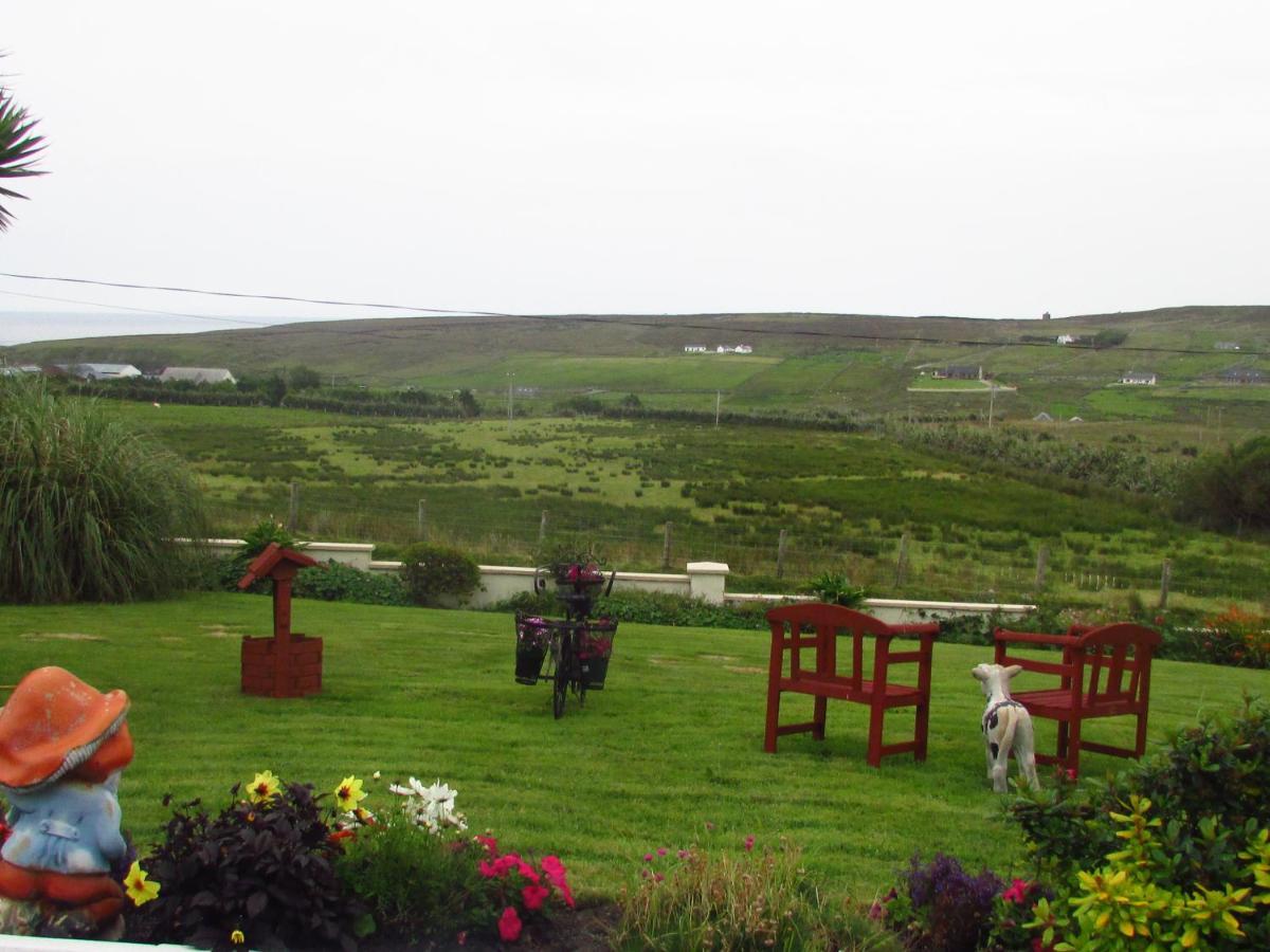 The Yellow Rose B&B Belderg Bagian luar foto