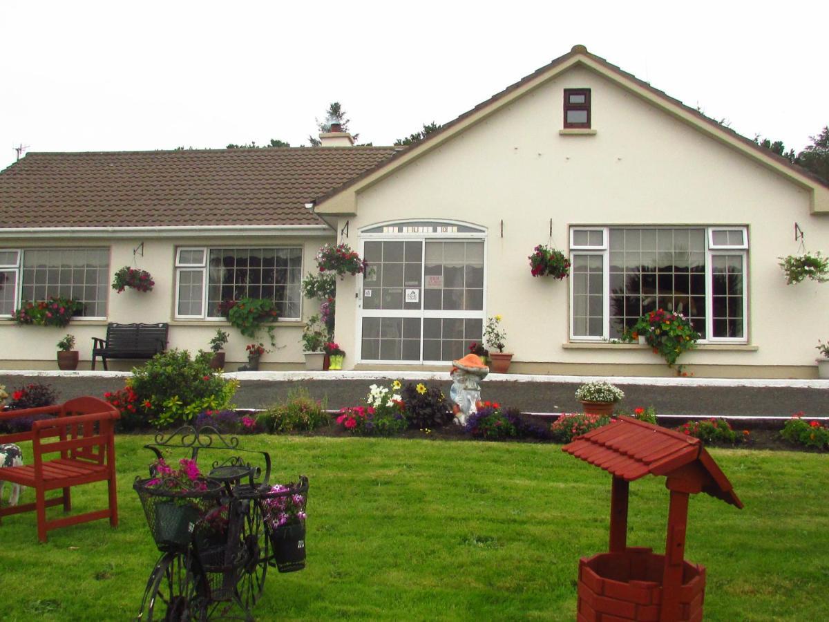 The Yellow Rose B&B Belderg Bagian luar foto