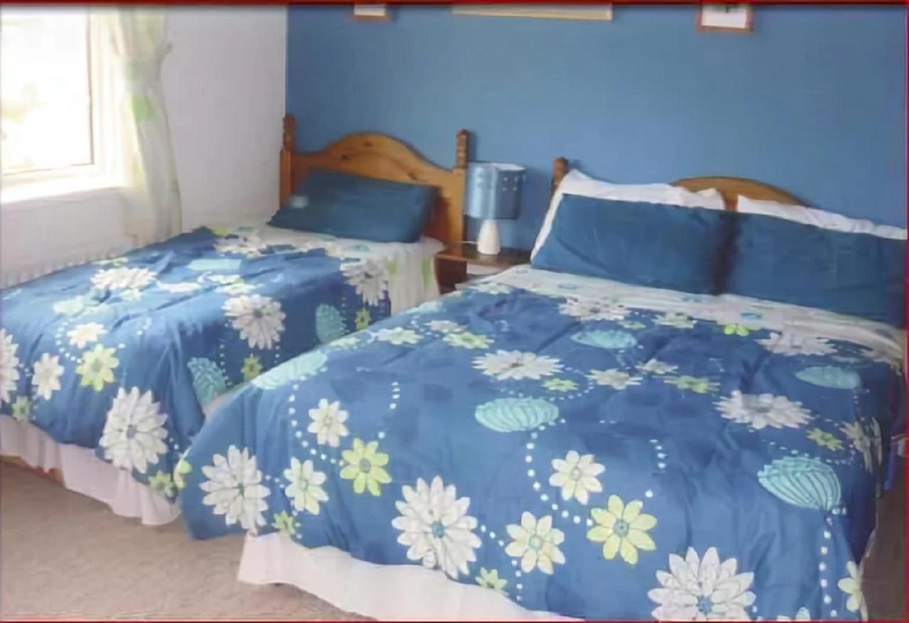 The Yellow Rose B&B Belderg Bagian luar foto